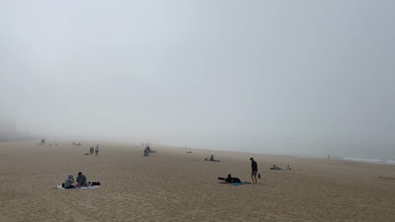 mysterious dog — fragment 3